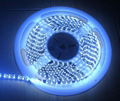 3020SMD LED Flexible Strip White Color LED Light