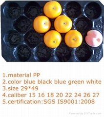 pp fruit tray