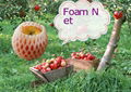 EPE foam net