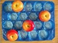 pp fruit tray