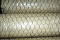 Hexagonal Wire Mesh 4