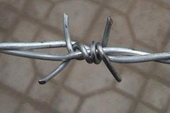 Galvanized Barbed Wire