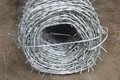 Galvanized Barbed Wire 3