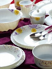 Opal Glassware Dinner Set