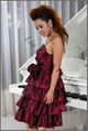 Factory direct wholesale taffeta short evening dress 3