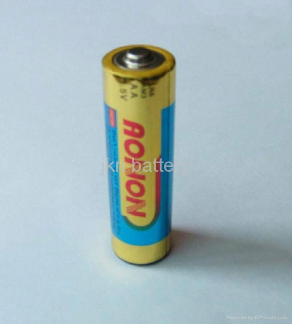LR6 AA  Alkaline Battery 3