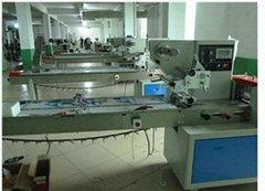 Foshan Taichuan Packaging Machinery Co.,Ltd