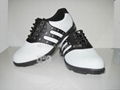 superior golf shoes  4