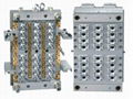 Plastic Injection Mould 1