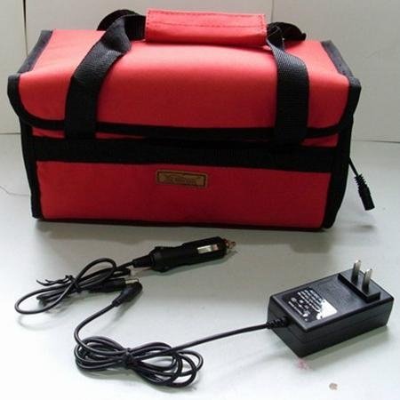 electronic insulated delivery bag  3