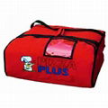 electronic insulated delivery bag  4