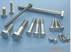 Titanium Screws