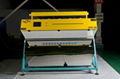 CCD Carrot granule color sorter 1