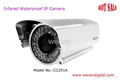 H.264 Infrared Waterproof IP Camera