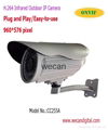 H.264 650TVL CCD Outdoor Infrared IP