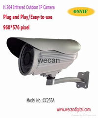 H.264 650TVL CCD Outdoor Infrared IP Camera