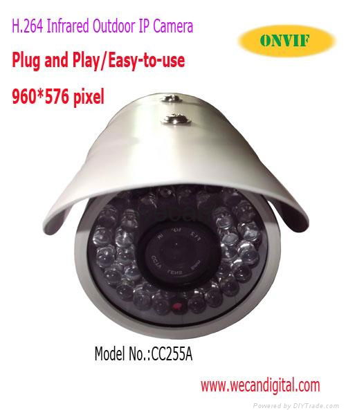 H.264 650TVL CCD Outdoor Infrared IP Camera 2