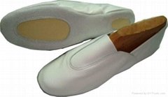 Gymnastic shoes with mix or any sole leather or any materials colors upper