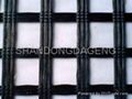 glassfiber geogrid 4