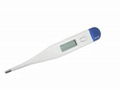 digital thermometer 1