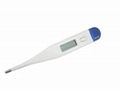 digital thermometer