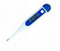 digital thermometer