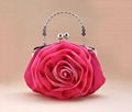 Women evening bags with low price   2