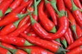 red chilli 4