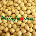 soybeans 1