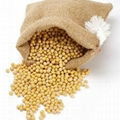 soybeans 2