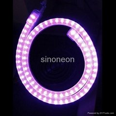 LED PLEXEON Light Single Color Clear Type