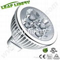 LED spot light  1