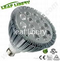 LED par light  1