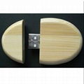 USB Flash Drive 1