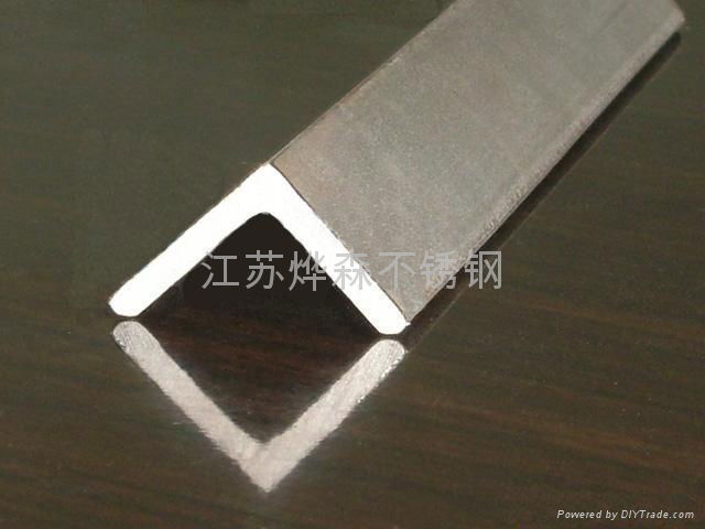 stainless steel angle 2