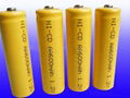 AAA 400MAHNiCD battery 3