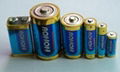 LR03 alkaline battery 4