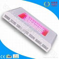 288x3w LED Grow Lights 1