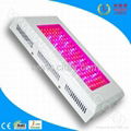 120W LED Grow Lights 2