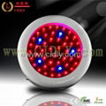 50W Mini UFO LED Grow Lights