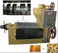 hot-selling Small Oil presser machine(YL series)