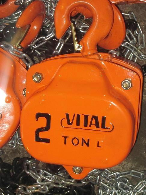 HS-VT chain hoist 2