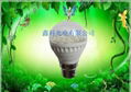 G47 12V/110V/220V 30LED GLOBE LAMP