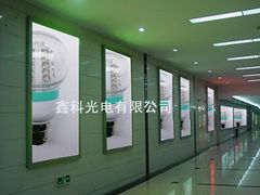  G60 42/36/30 LED  GLOBE LAMP