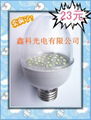 H5P SMD5050 LED GLOBE LAMP