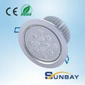 led ceiling light