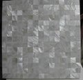 Square Freshwater Shell Mosaic Tiles 2
