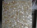 Hexagon Mother of Pearl Shell Mosaic Tiles 2