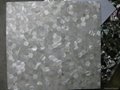 Hexagon Mother of Pearl Shell Mosaic Tiles 3