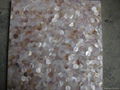 Hexagon Mother of Pearl Shell Mosaic Tiles 1